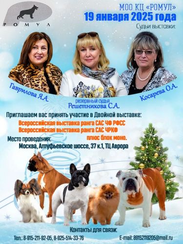 аврора